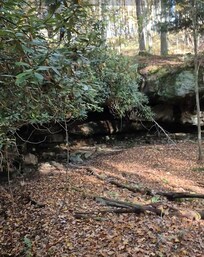 Rock overhang found while "exploring" the grounds