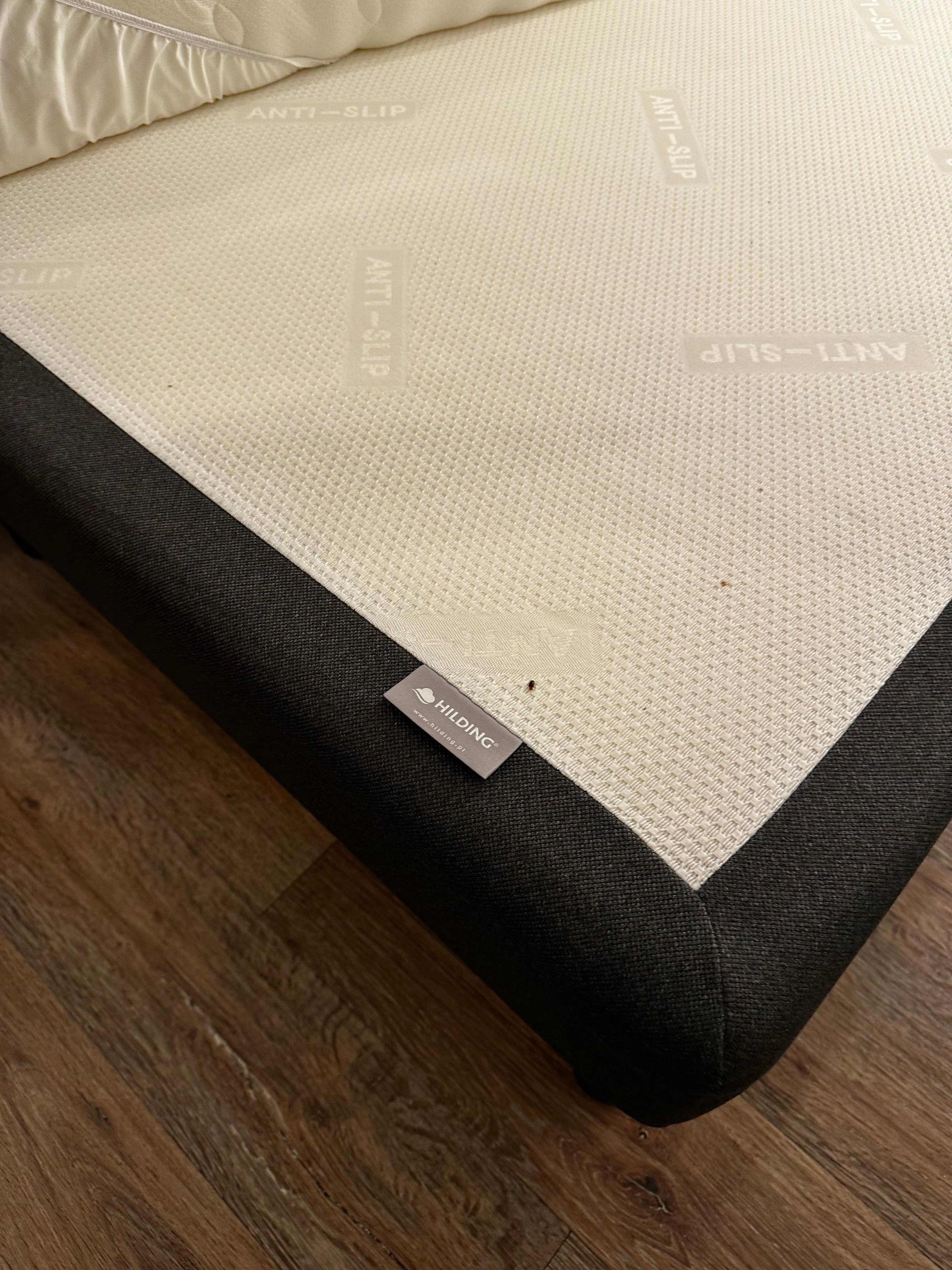 Había una plaga de pulga, fuimos victimas de picaduras 