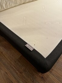 Había una plaga de pulga, fuimos victimas de picaduras