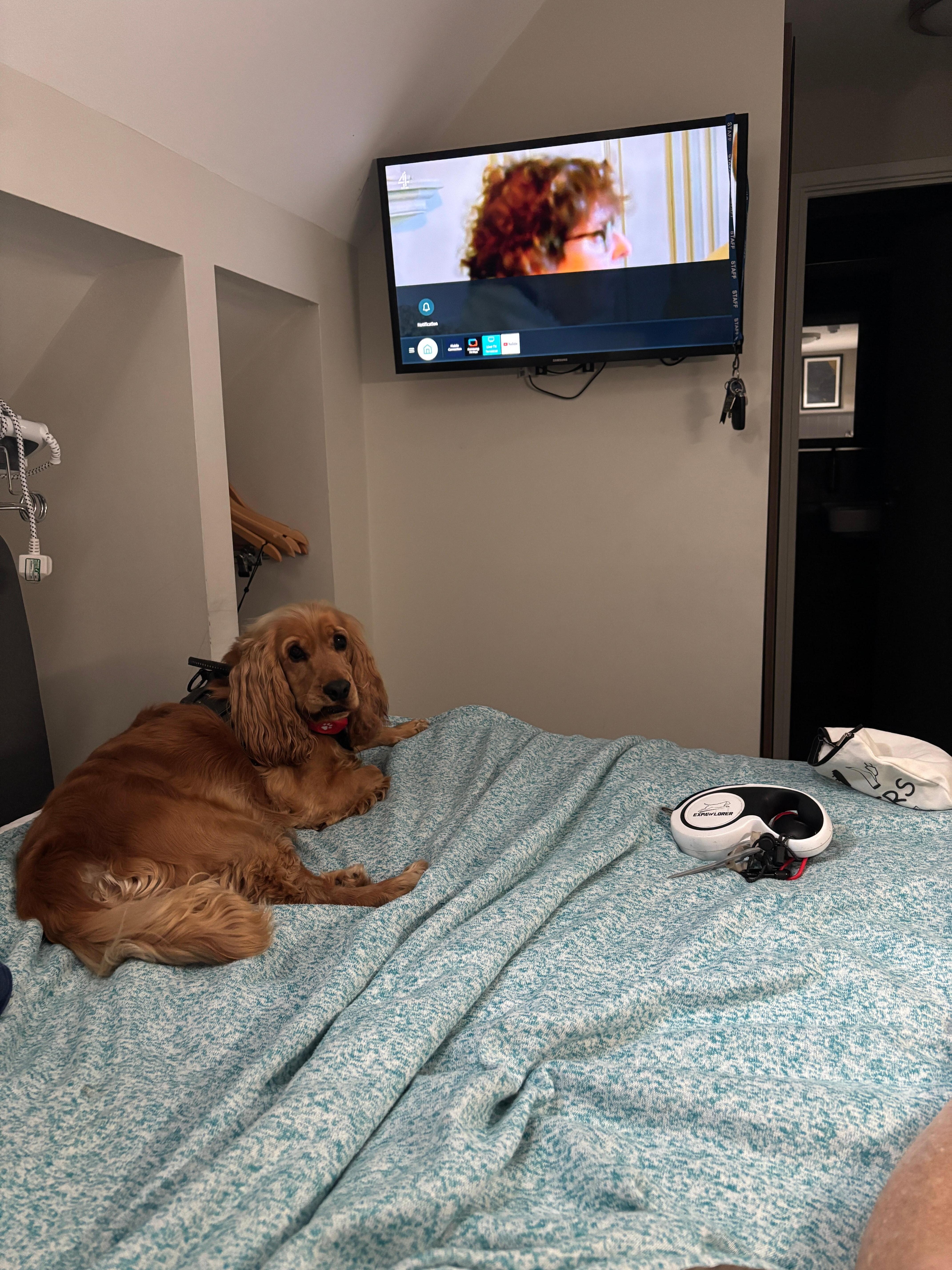 Cosy room for the two of us. 