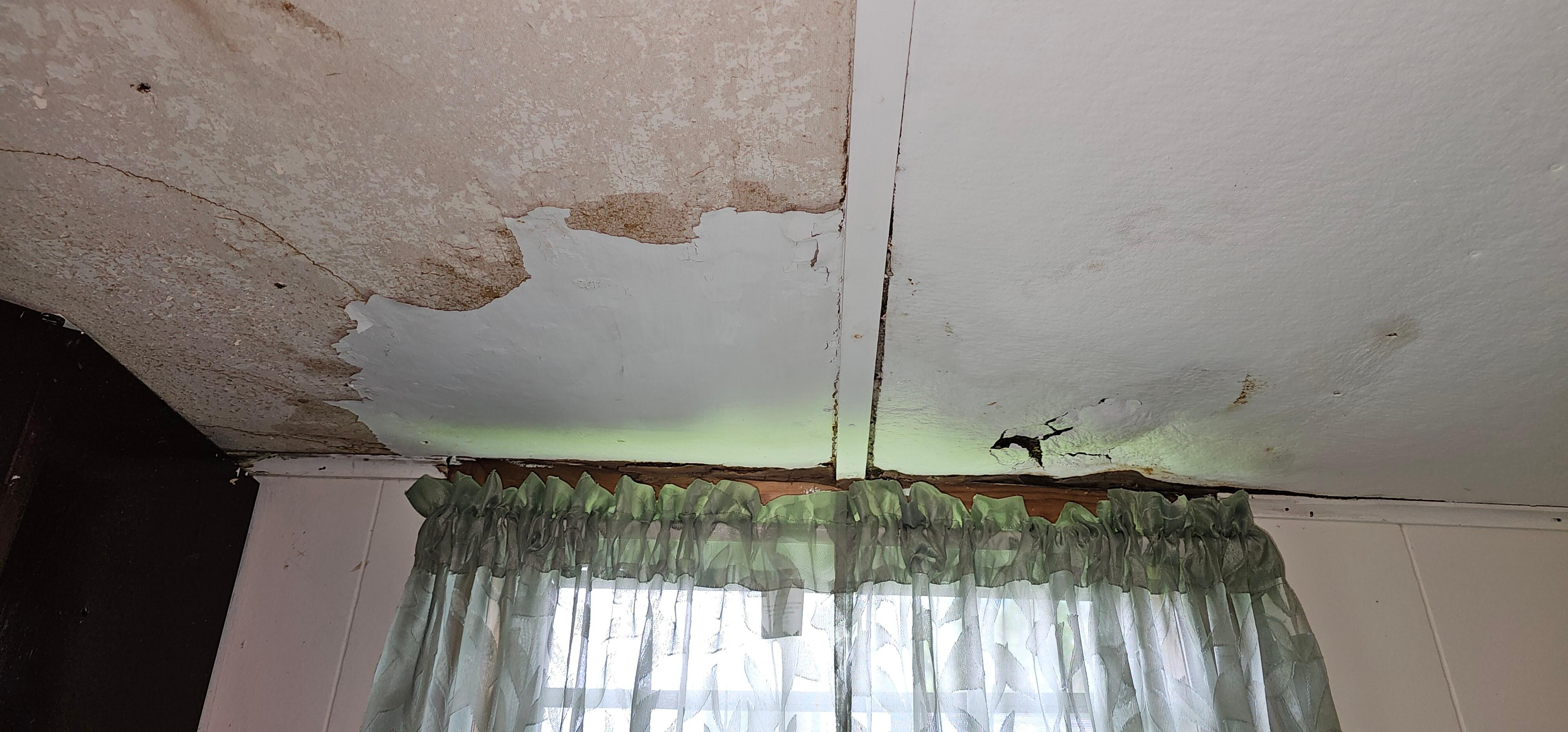 Ceiling in kitchen 