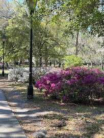 Forsyth Park