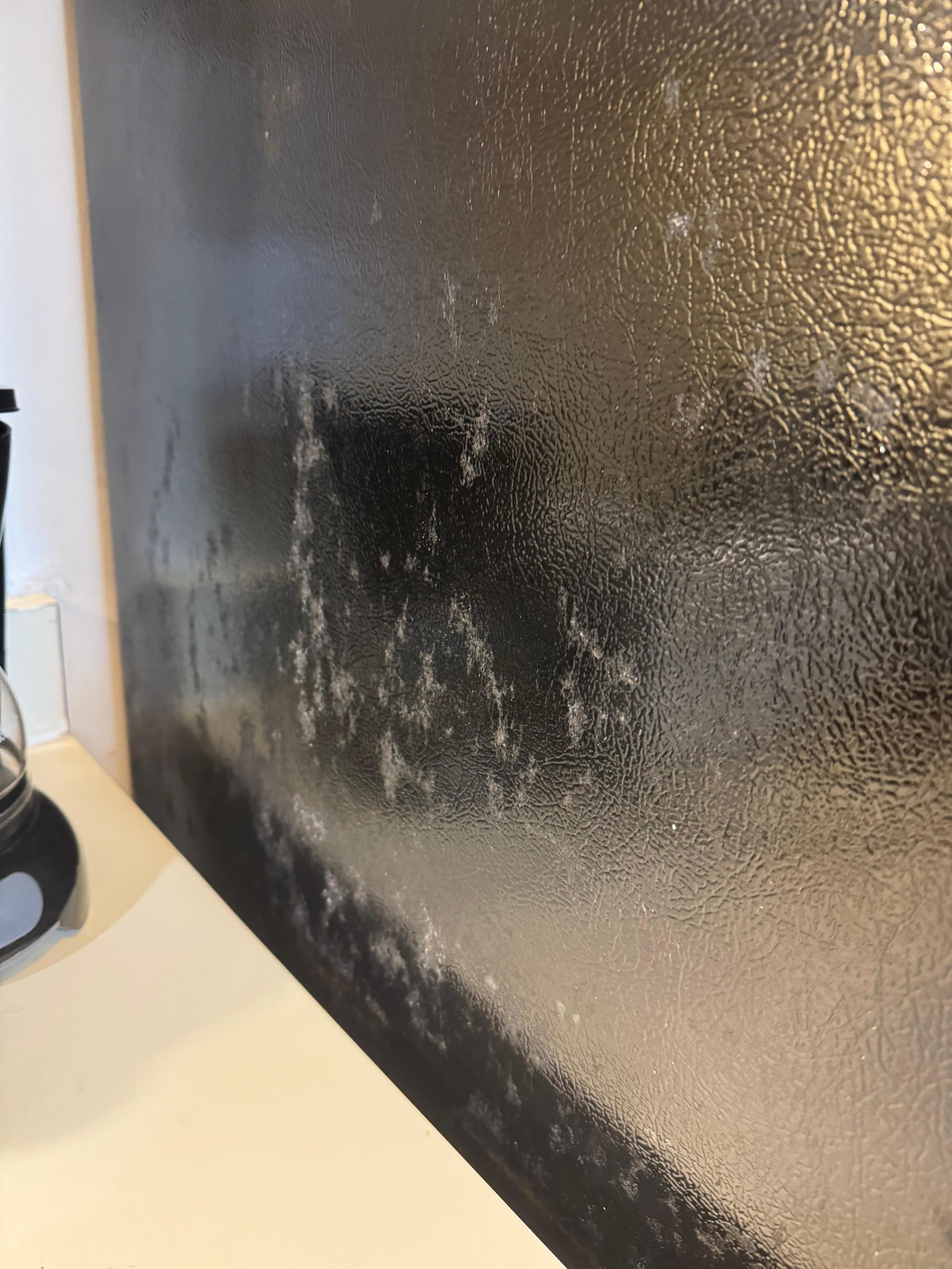 Mold growing on kitchen appliances
