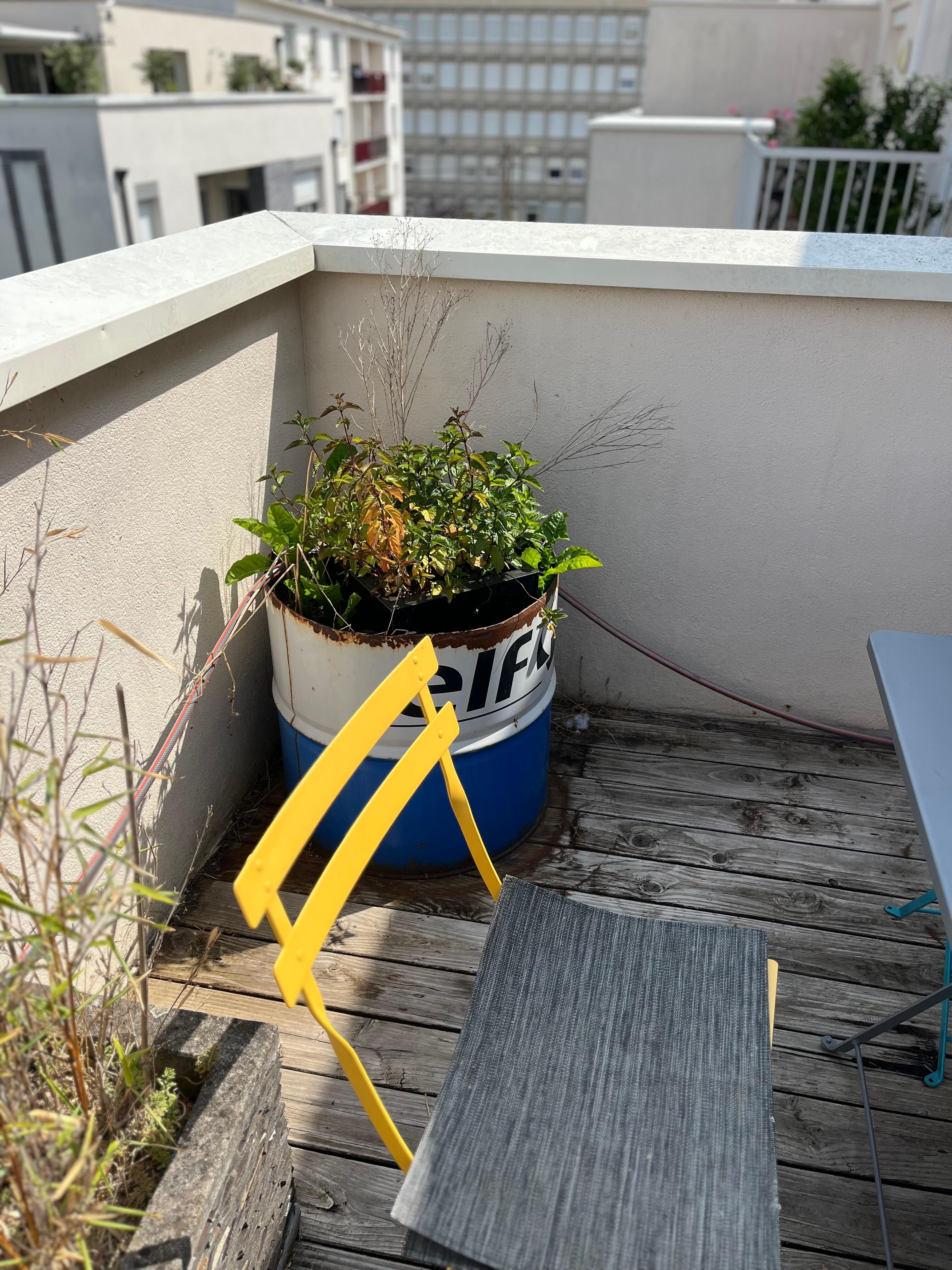 Terrasse 