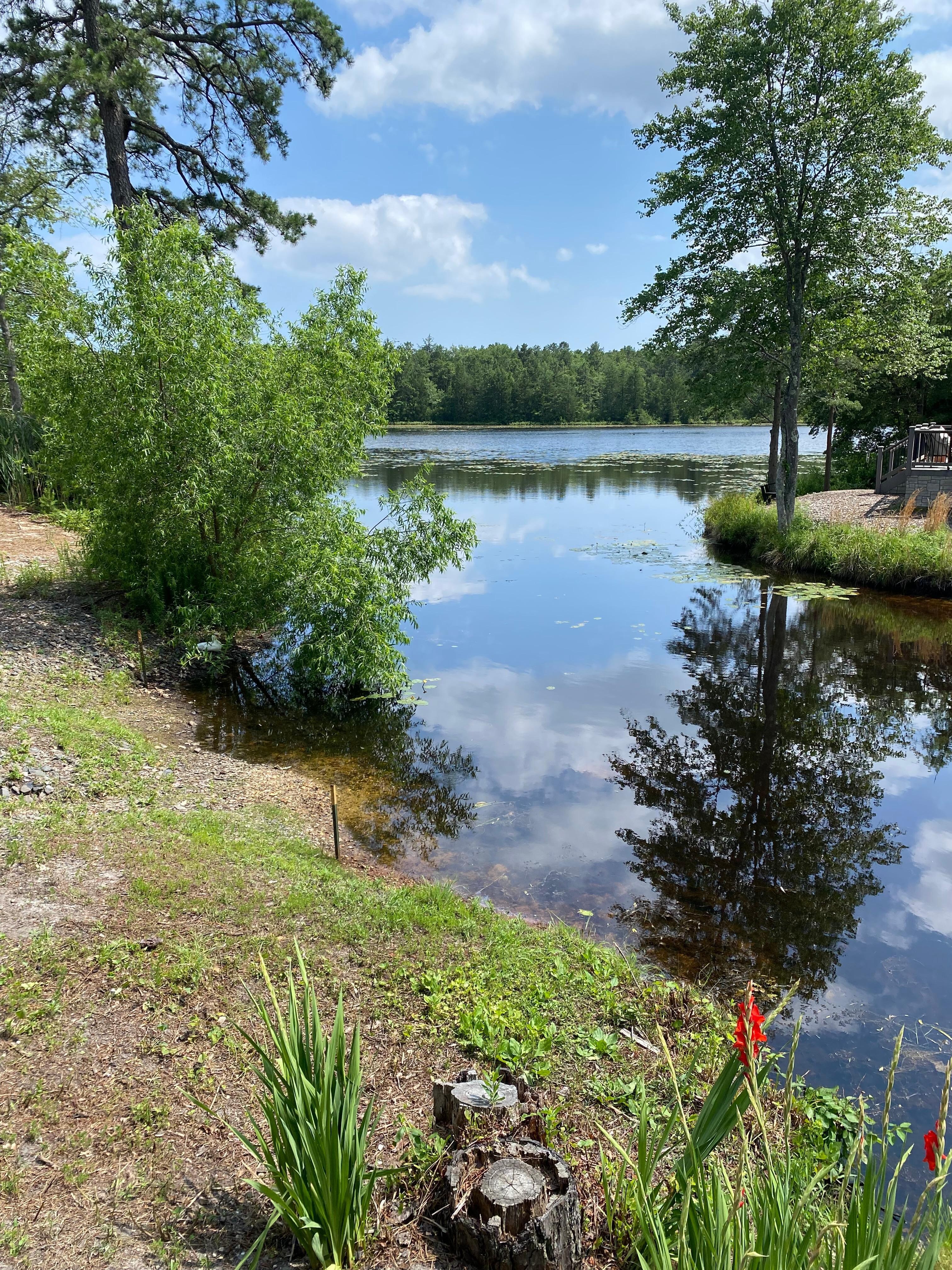View from the deck, a beautiful spot to sit and relax.