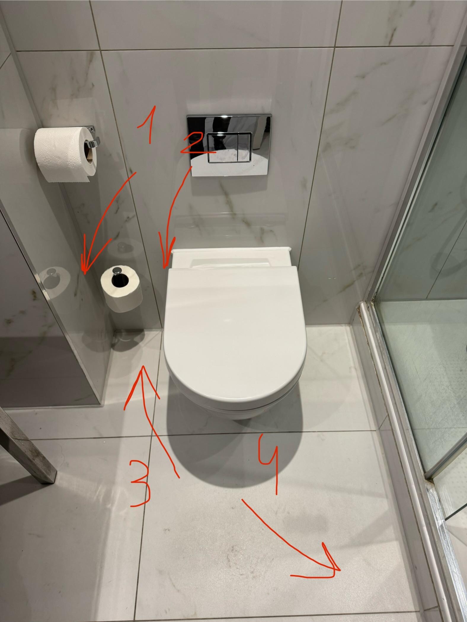 1. Crap on the wall.

2. Crap on the toilet when I checked in - after second time the receptionist “cleaned” it with water and one of the towels.

3. Missing brush.

4. Empty mini bar.
