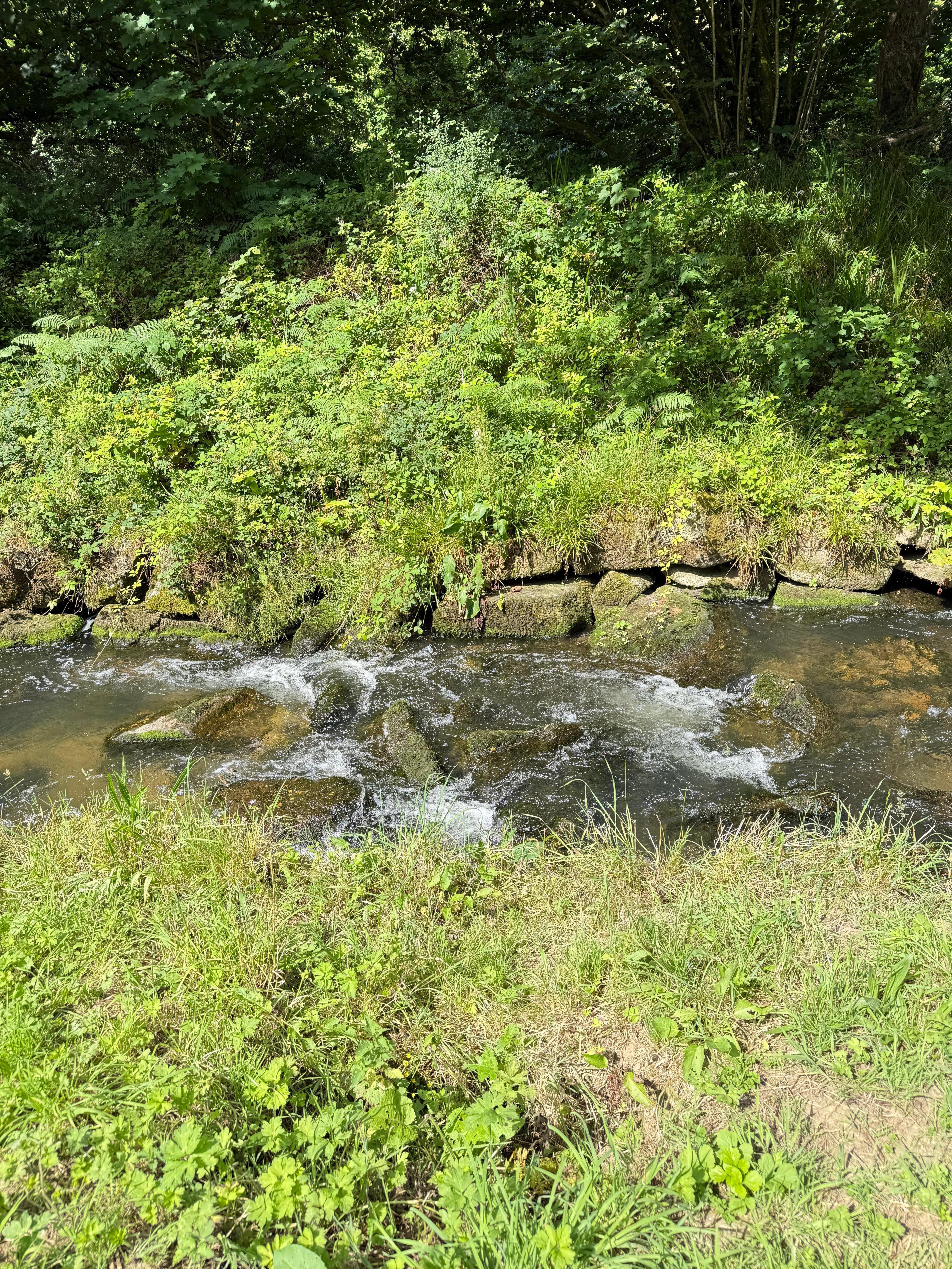 Stream over the bottom of the garden