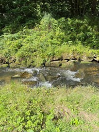 Stream over the bottom of the garden