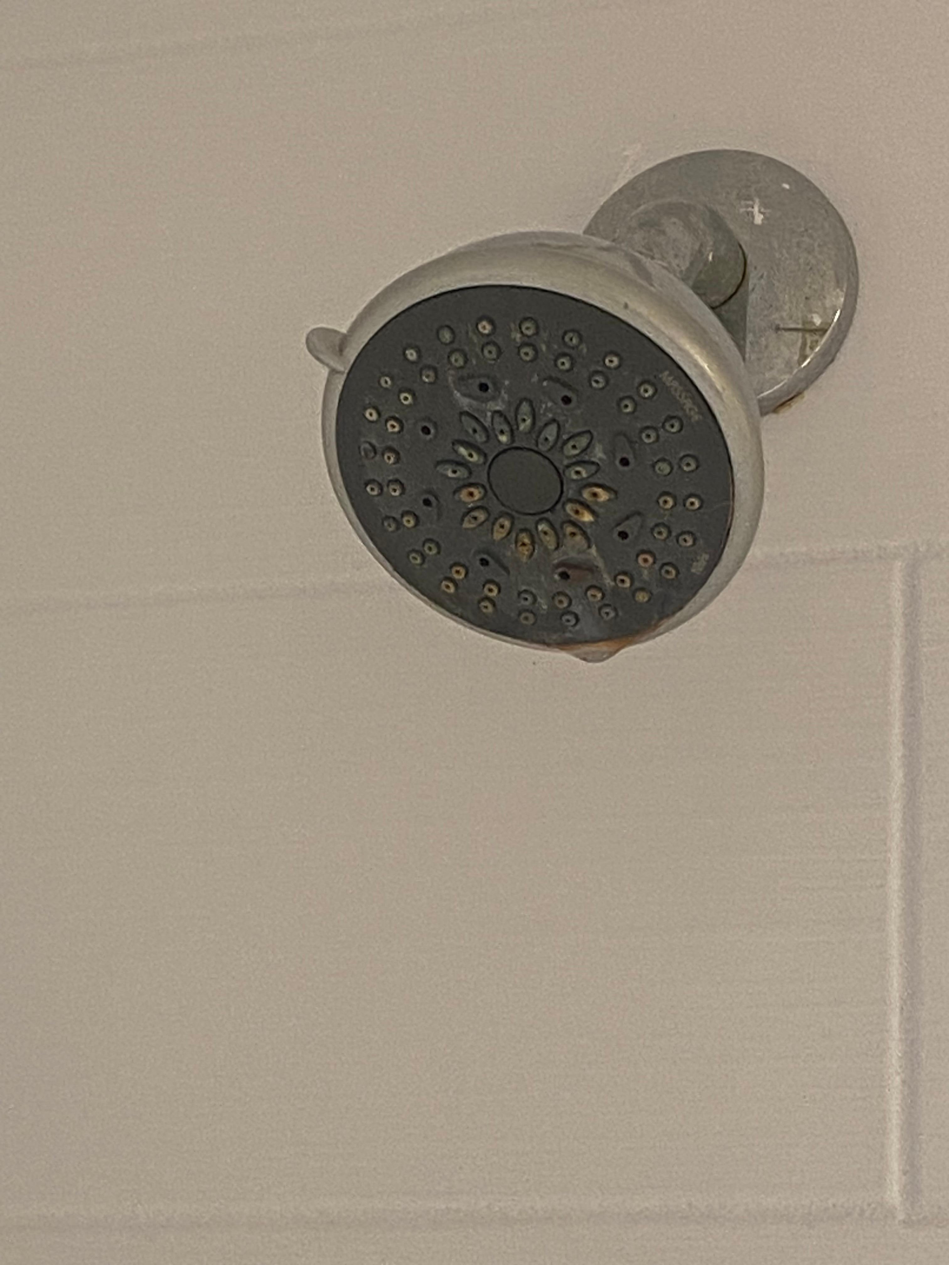 Shower head in bathroom 