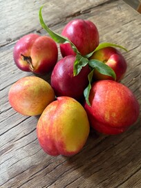 Nectarines from the courtyard