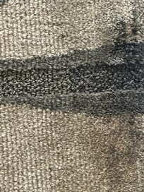 Carpet in front of TV