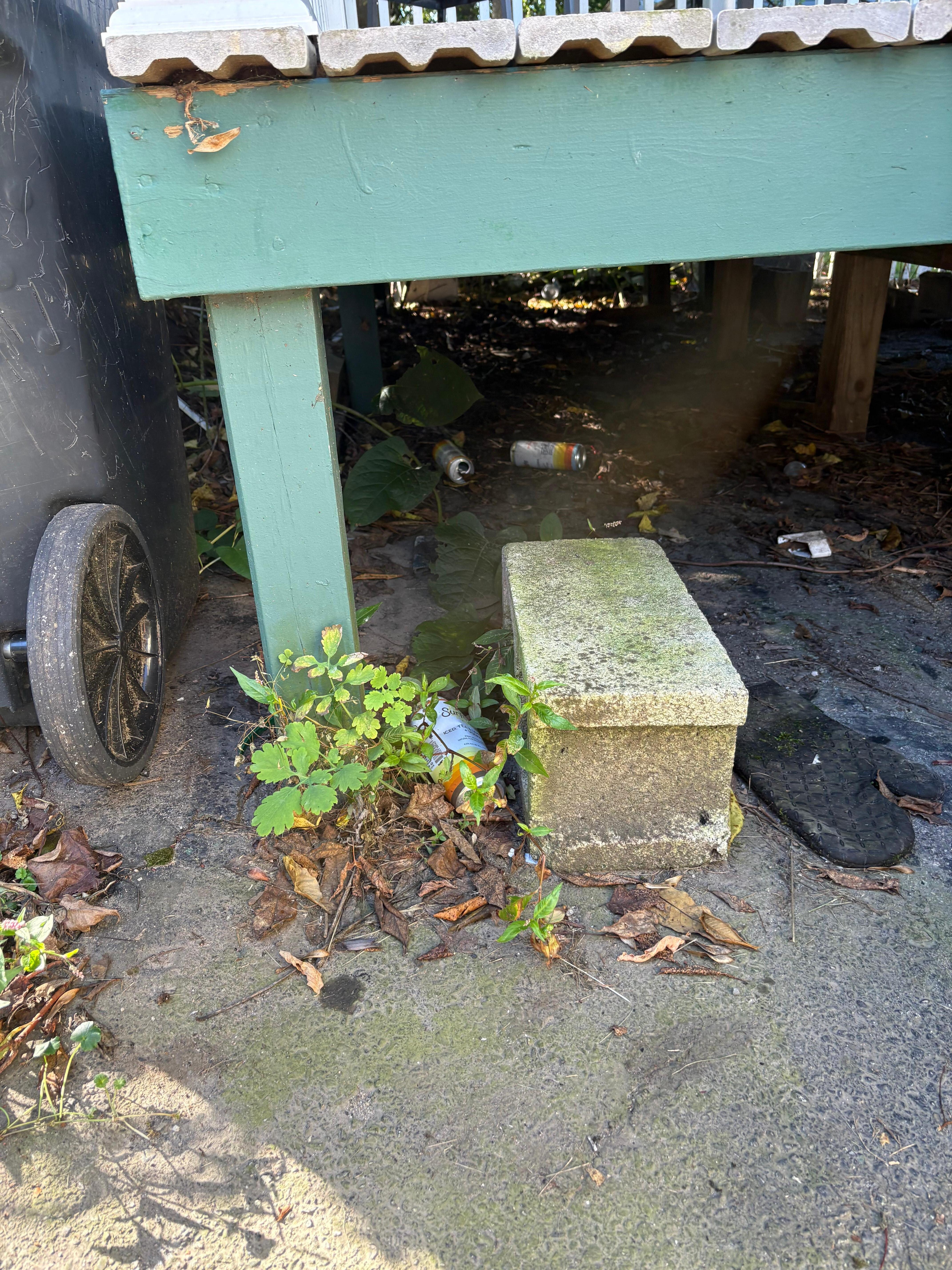 Trash under the porch