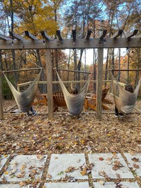 The view from the grill