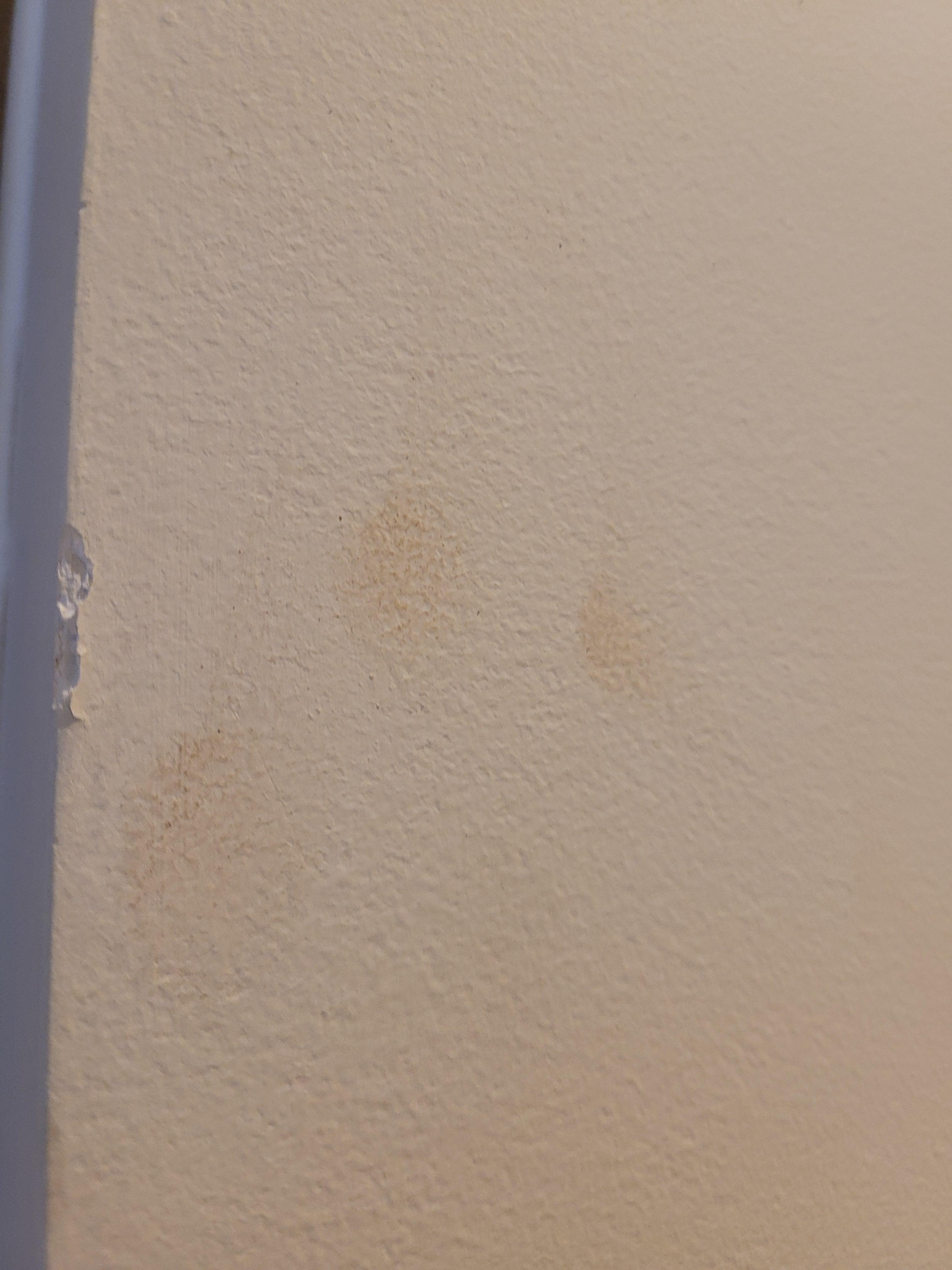 Fingerprints from guest before
