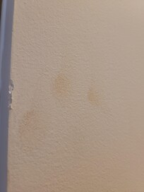 Fingerprints from guest before