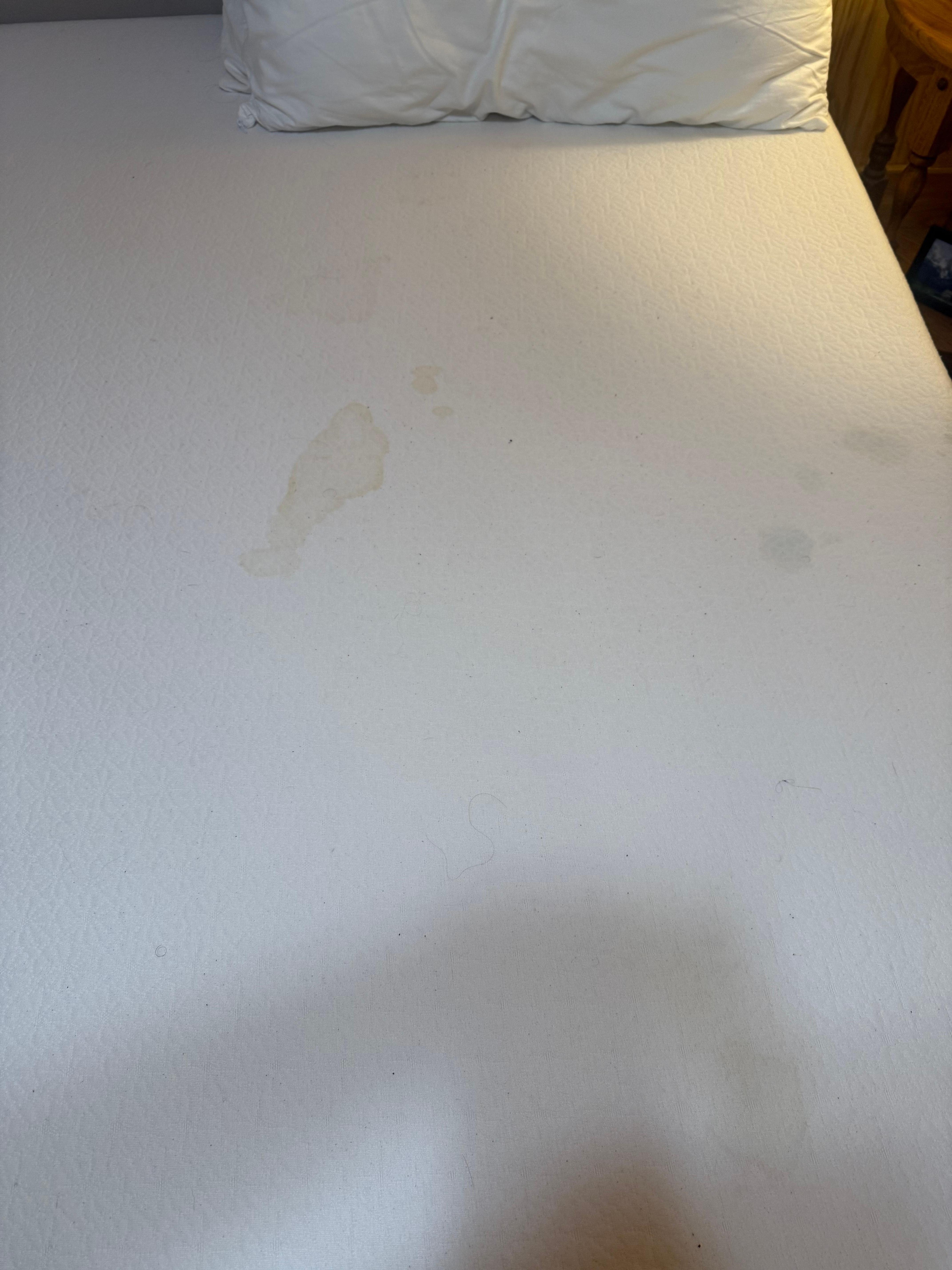 Mattress cover filthy