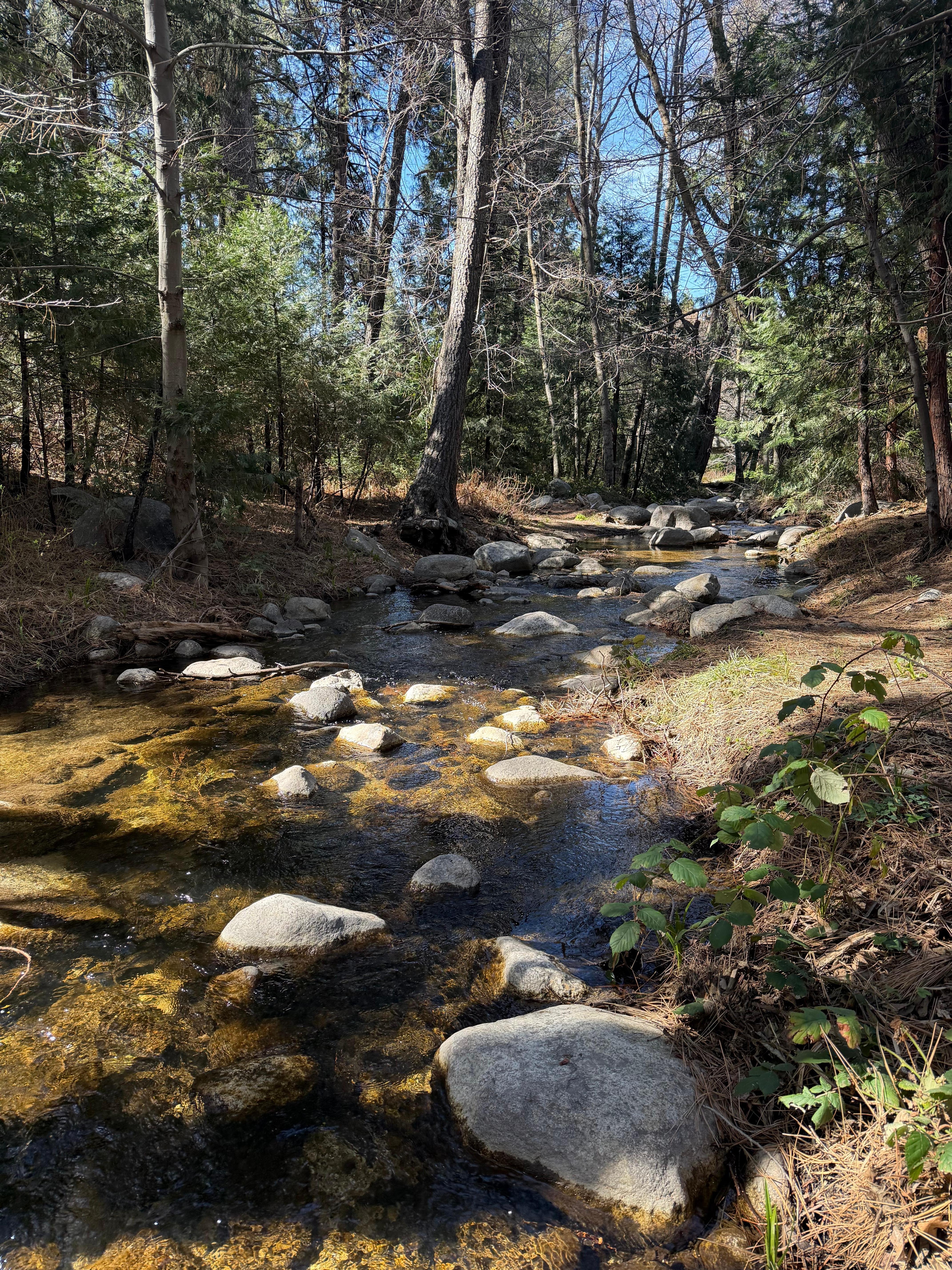The view from the kitchen