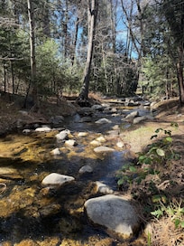The view from the kitchen