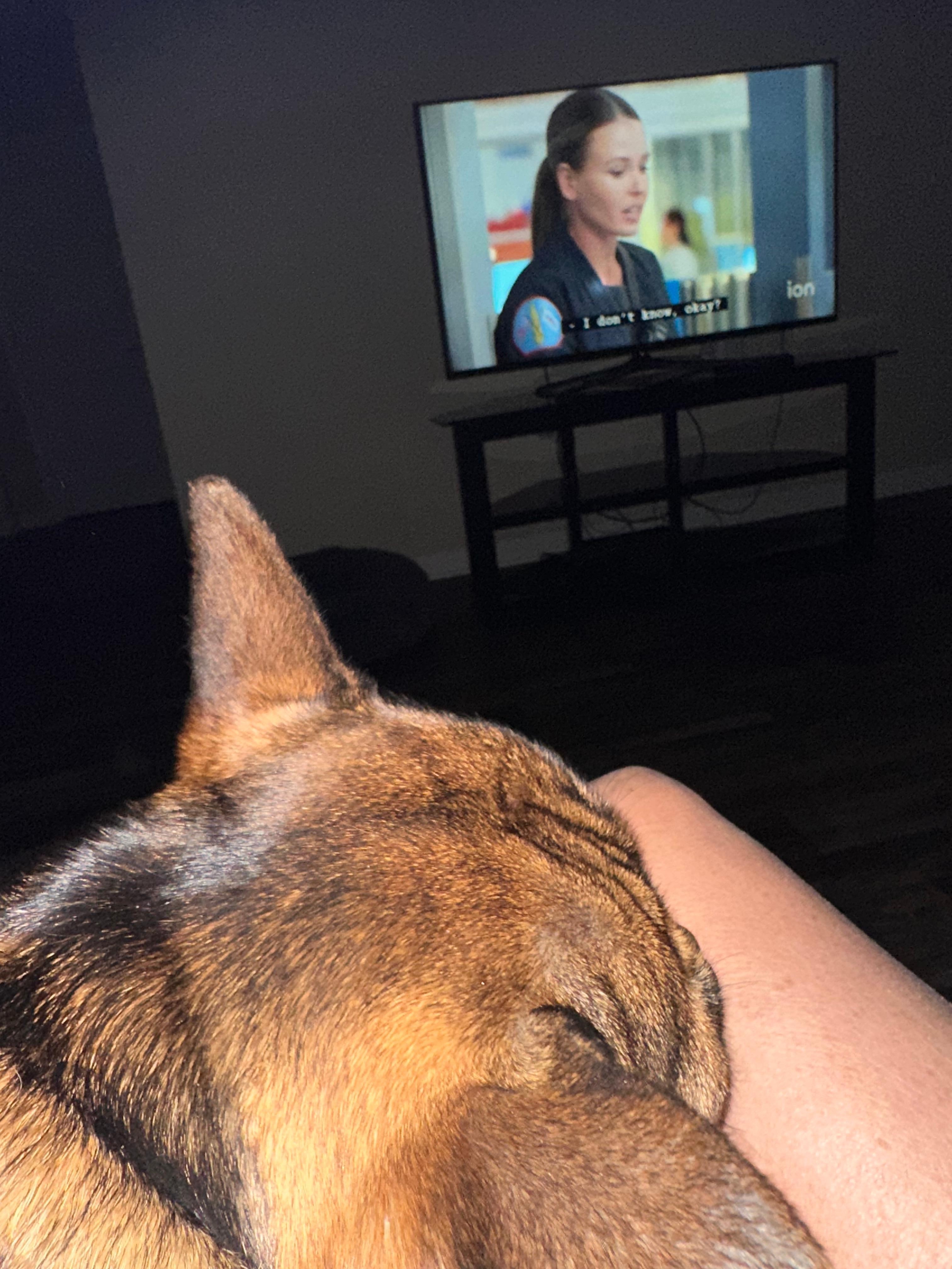 Comfy for my pup and I!