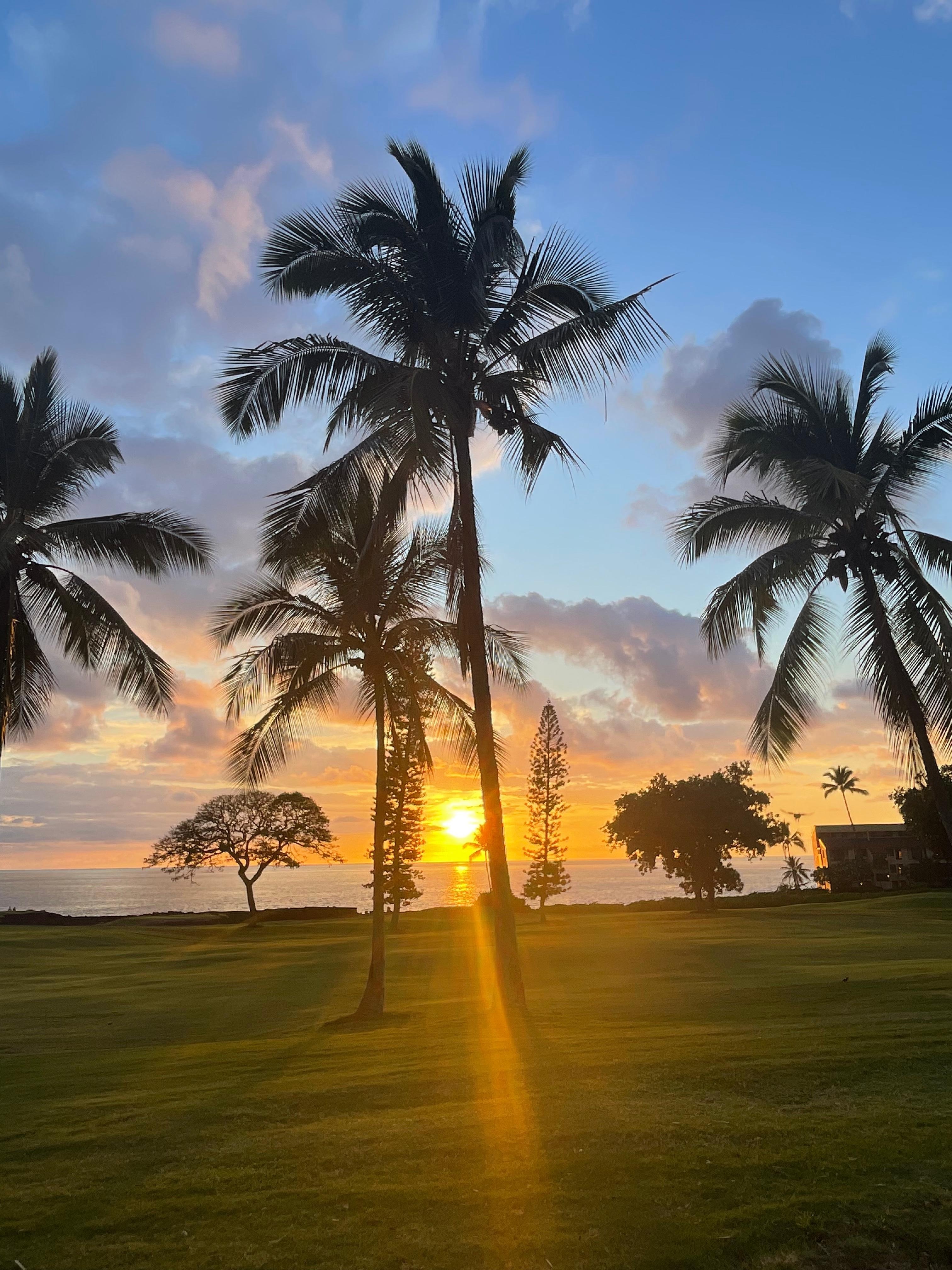 Beautiful sunsets!
