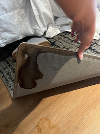 Rusty Water stains on rug
