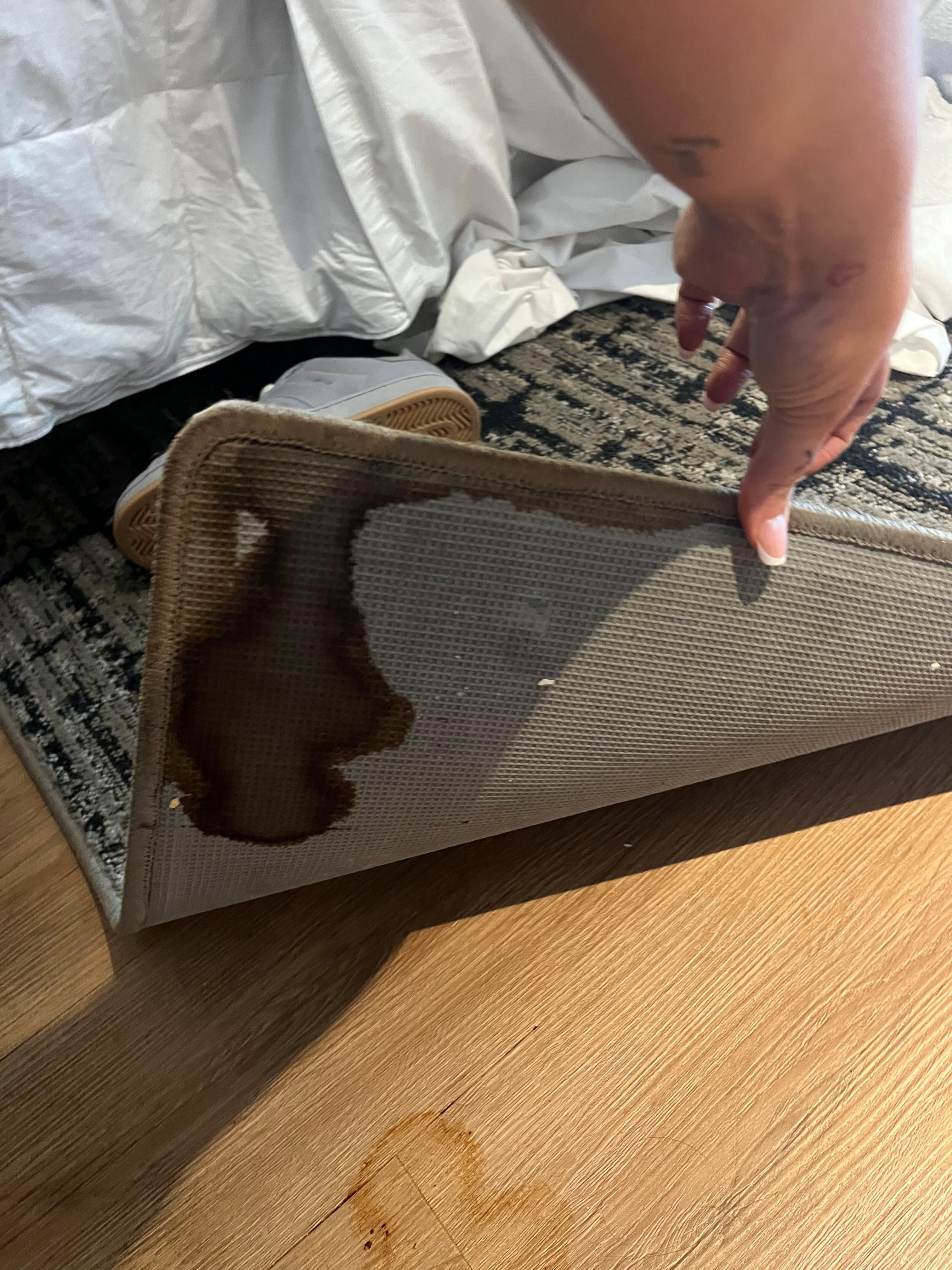 Rusty Water stains on rug