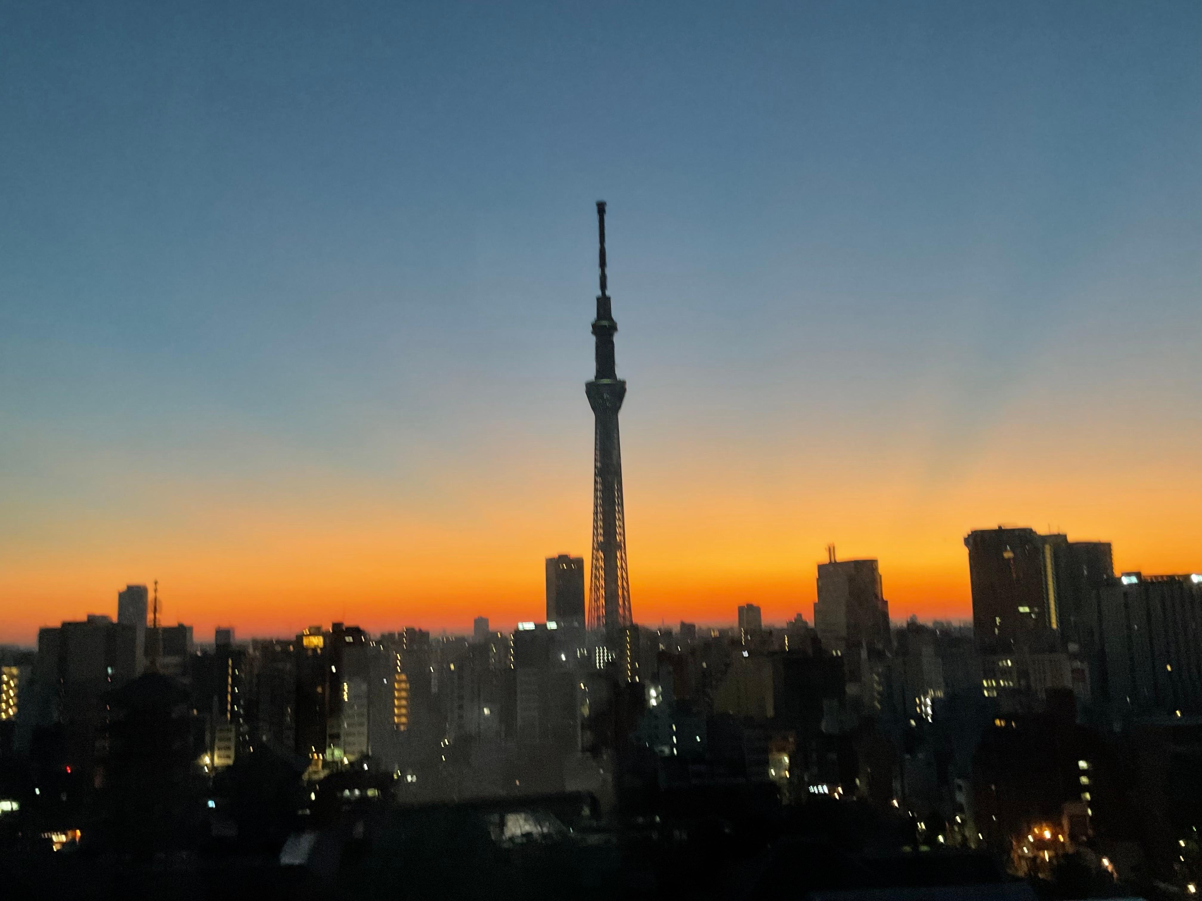 早朝、部屋の窓からスカイツリーと街並みが綺麗に見えました。
窓が大きくて開放感がありました。