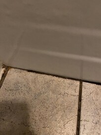 Looks like mold