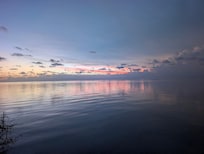 Peaceful bliss.