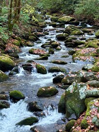 Roaring fork motor trail