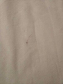 Dried blood on the top of the bed.