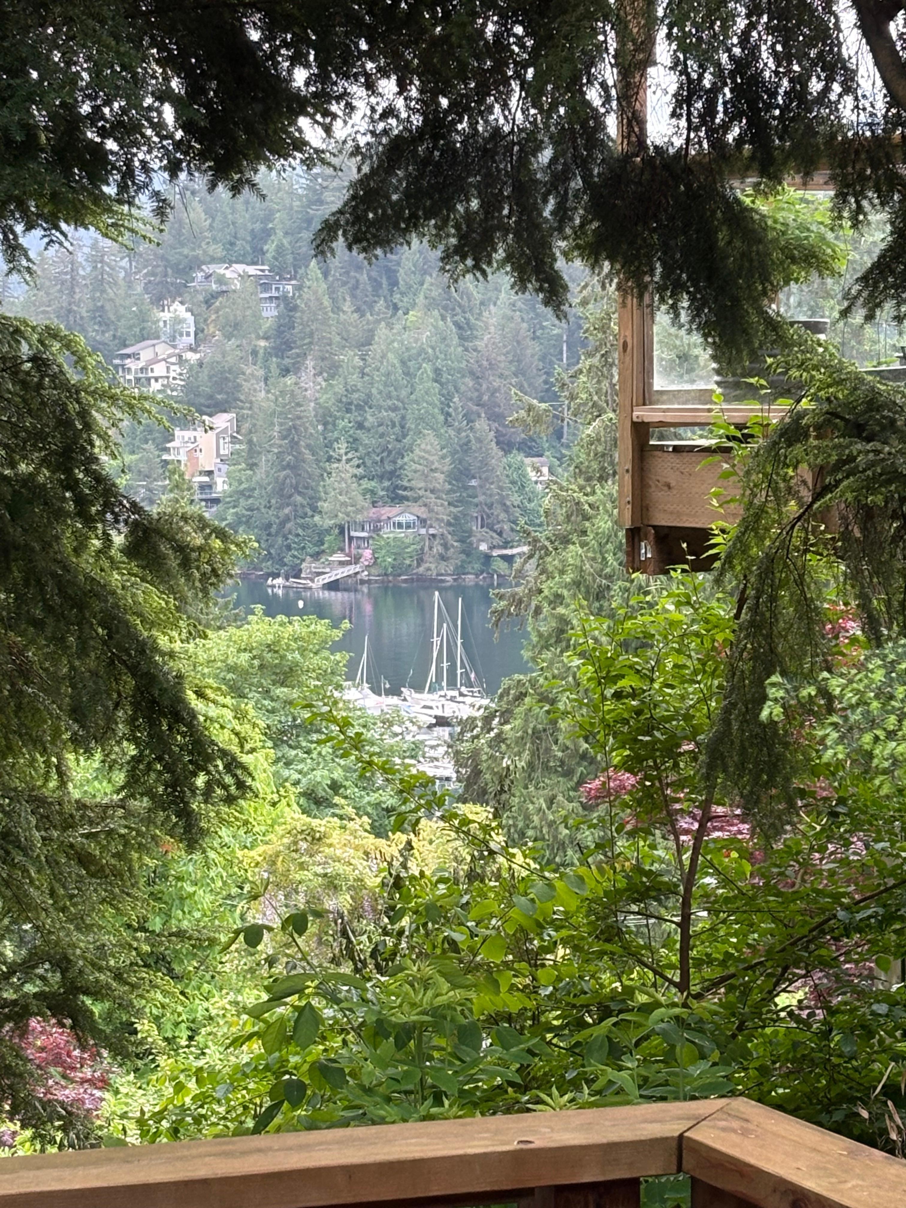 Deck view