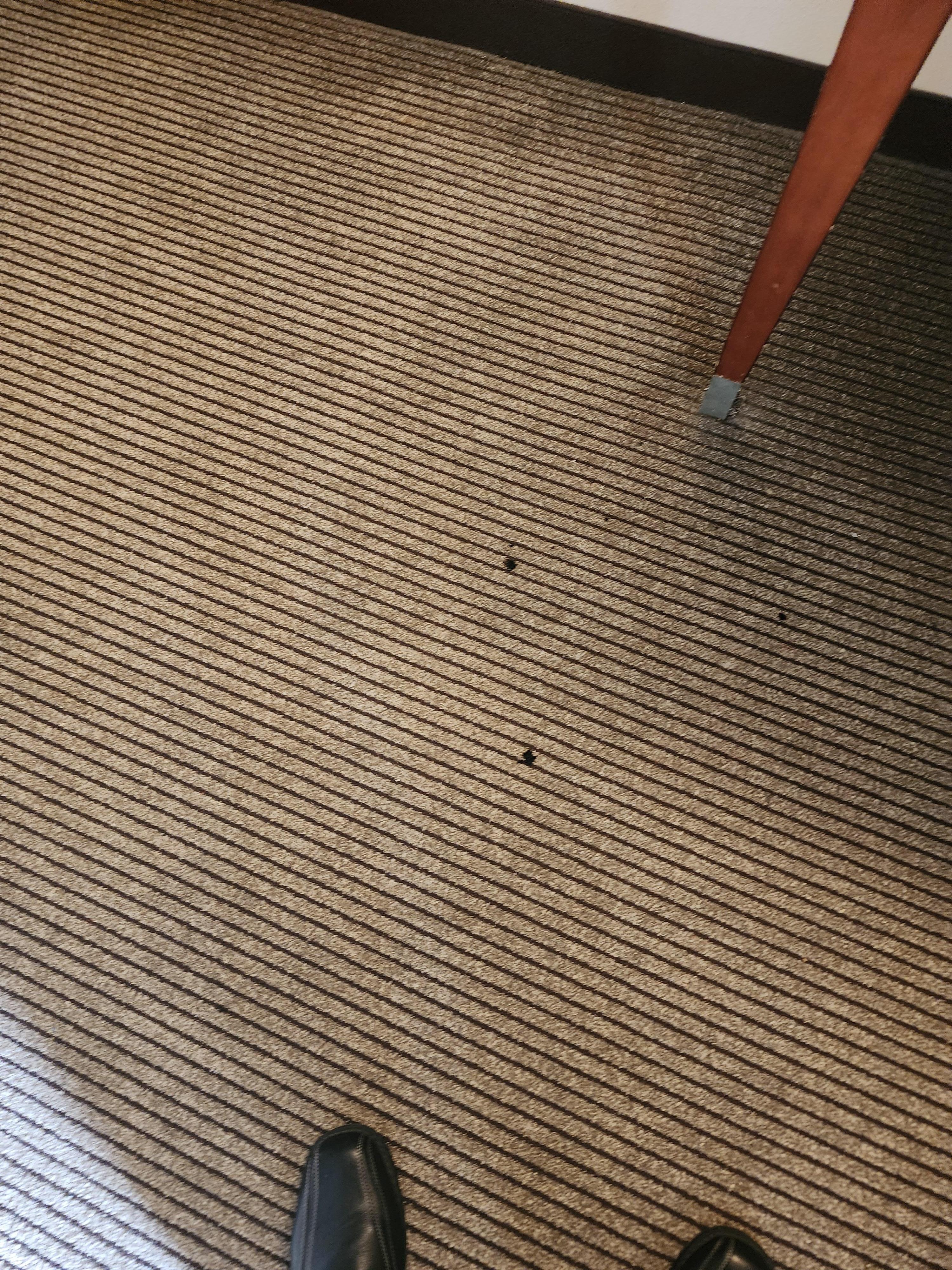 Room carpet stain