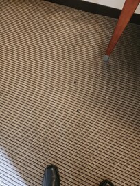 Room carpet stain