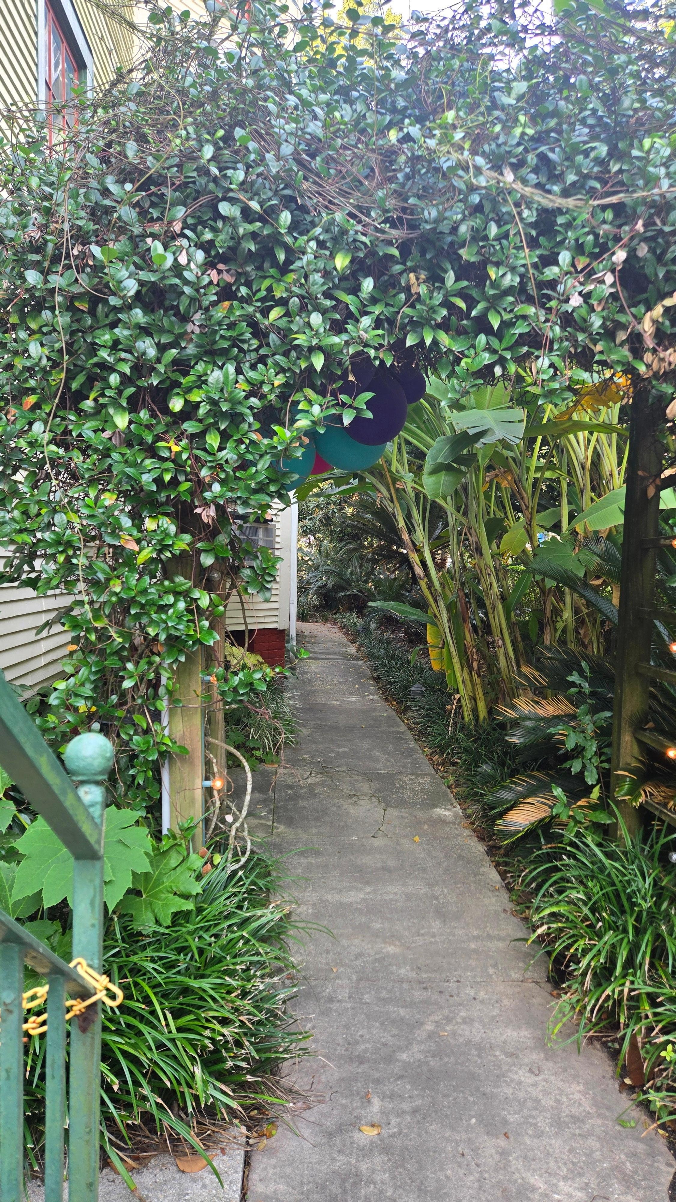 Magical path to the back yard.