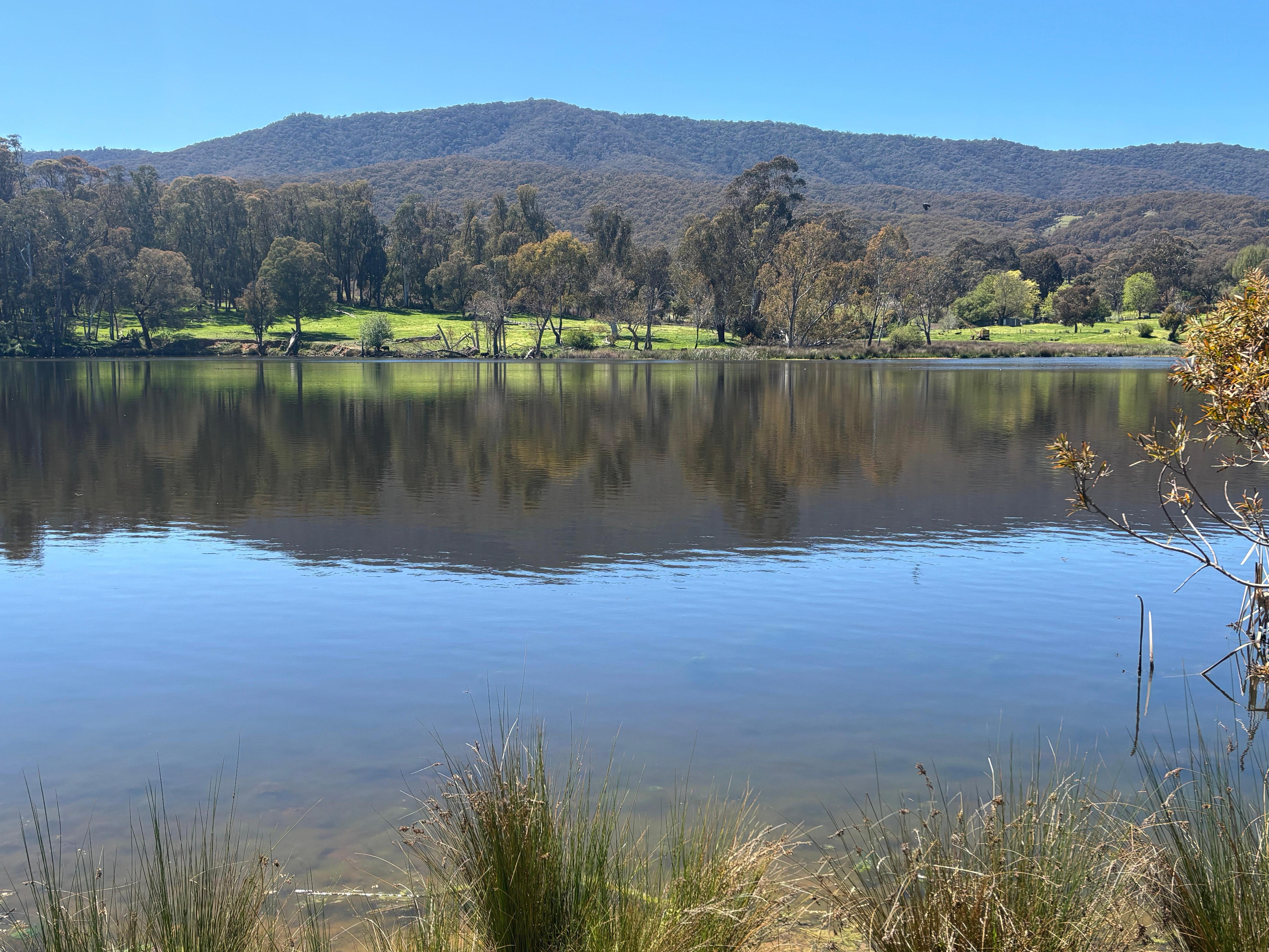 Wonga wetlands
Bird watching at Sandy Creek Reserve near Tangambalanga