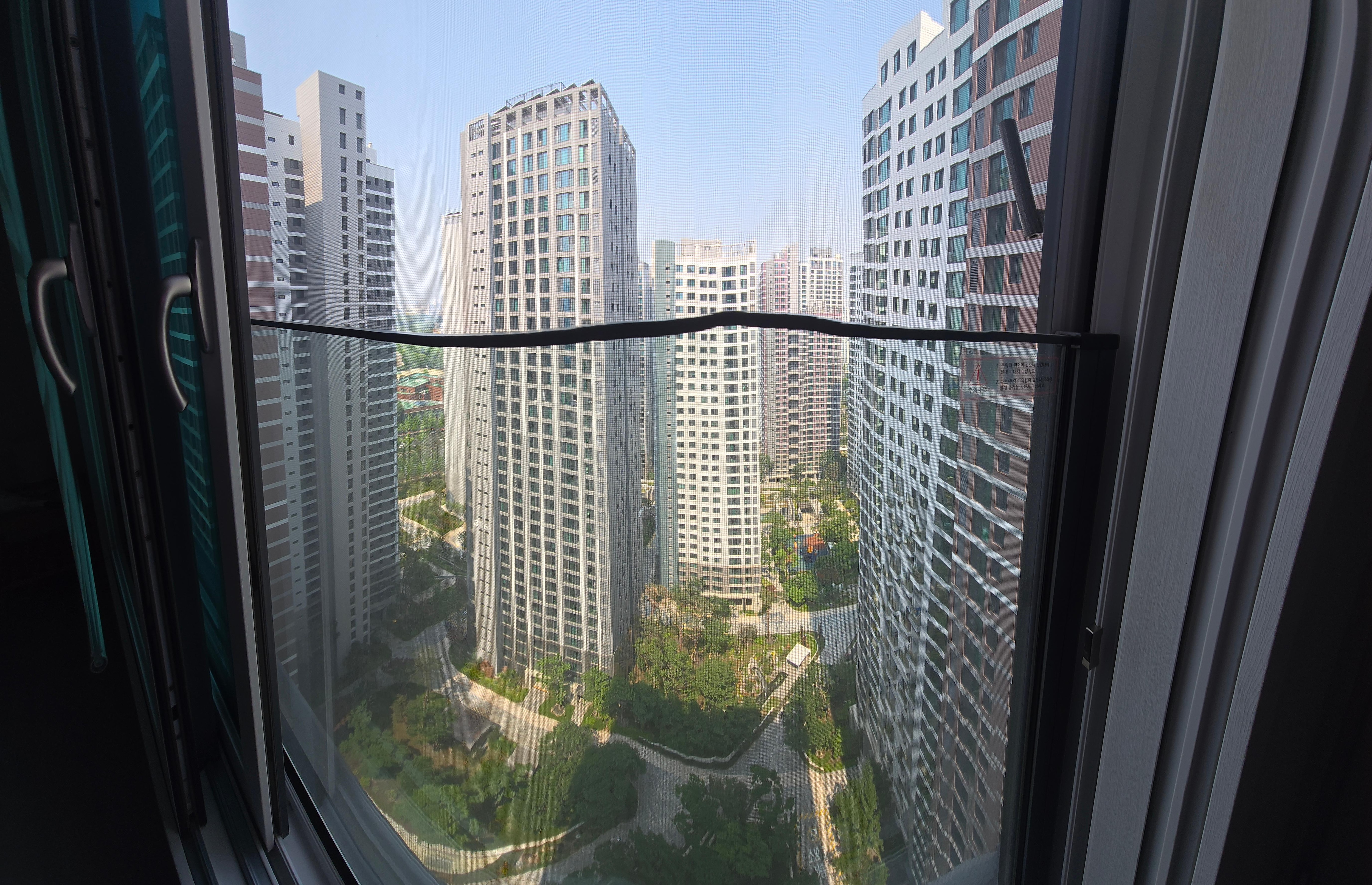 The view