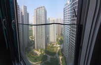 The view