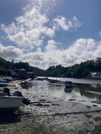 The tranquil river