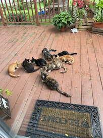 My new friends