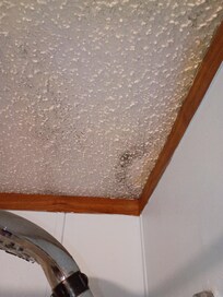 mold on the ceiling in the bathroom
