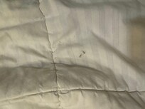 Stains all over everything. This is the comforter