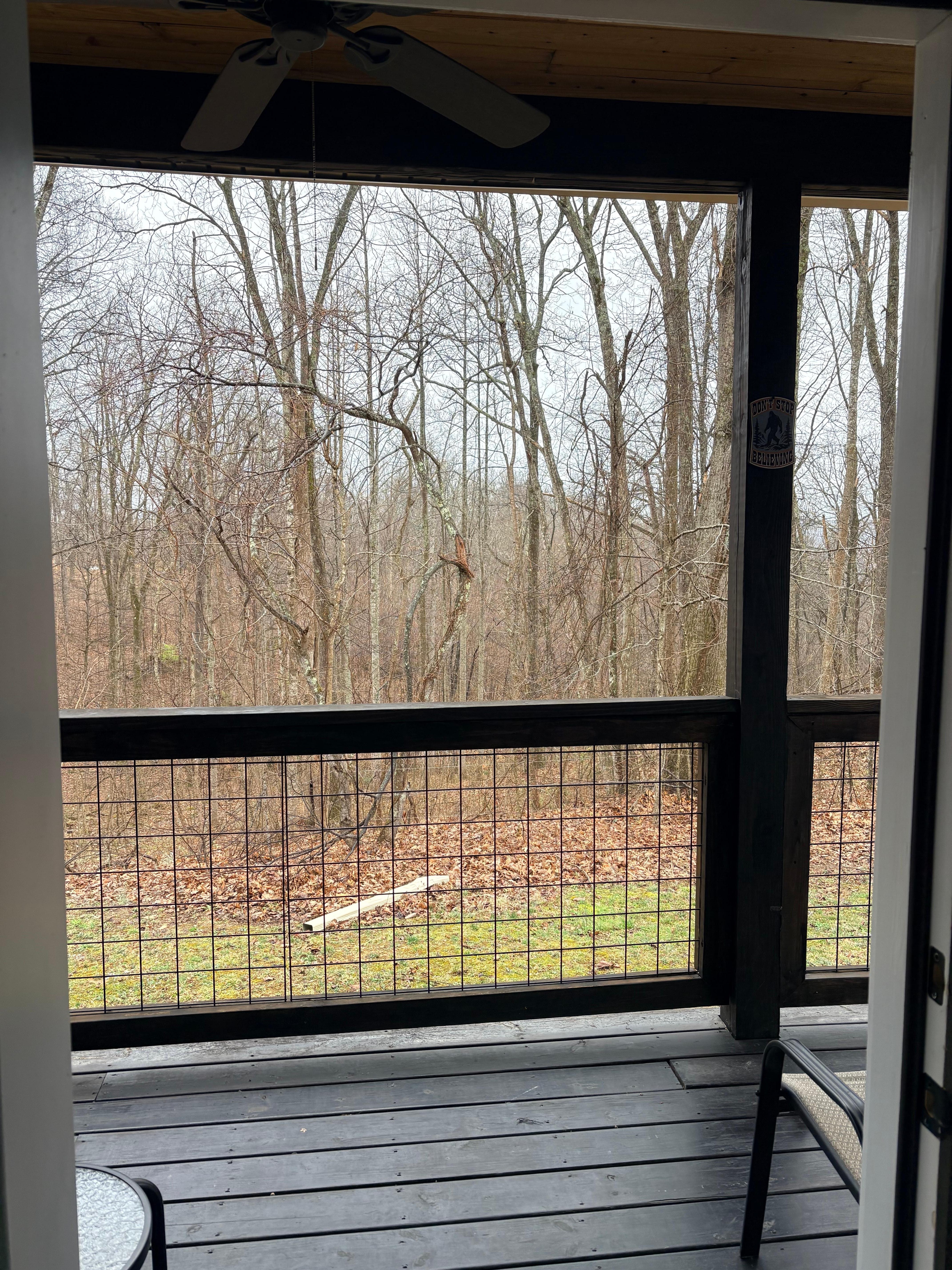 Back porch lounging, solitude was lovely!