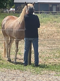 My husband making friends!