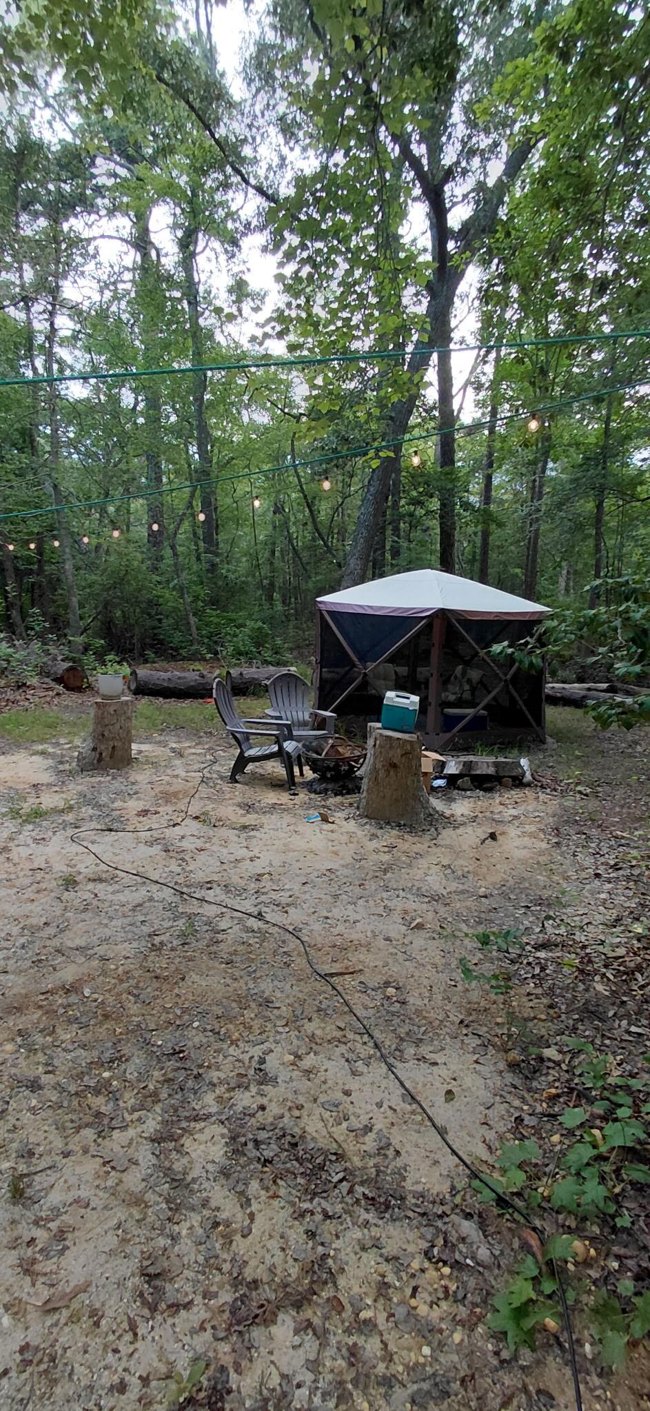 The gazebo 