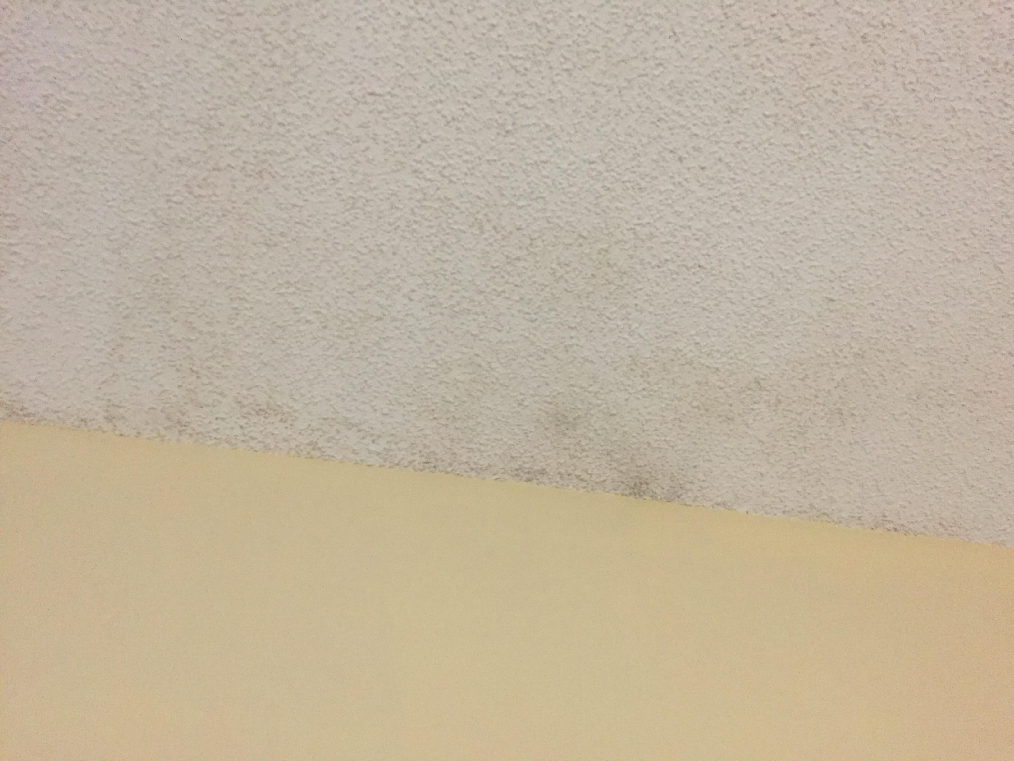 Mold growing on ceiling