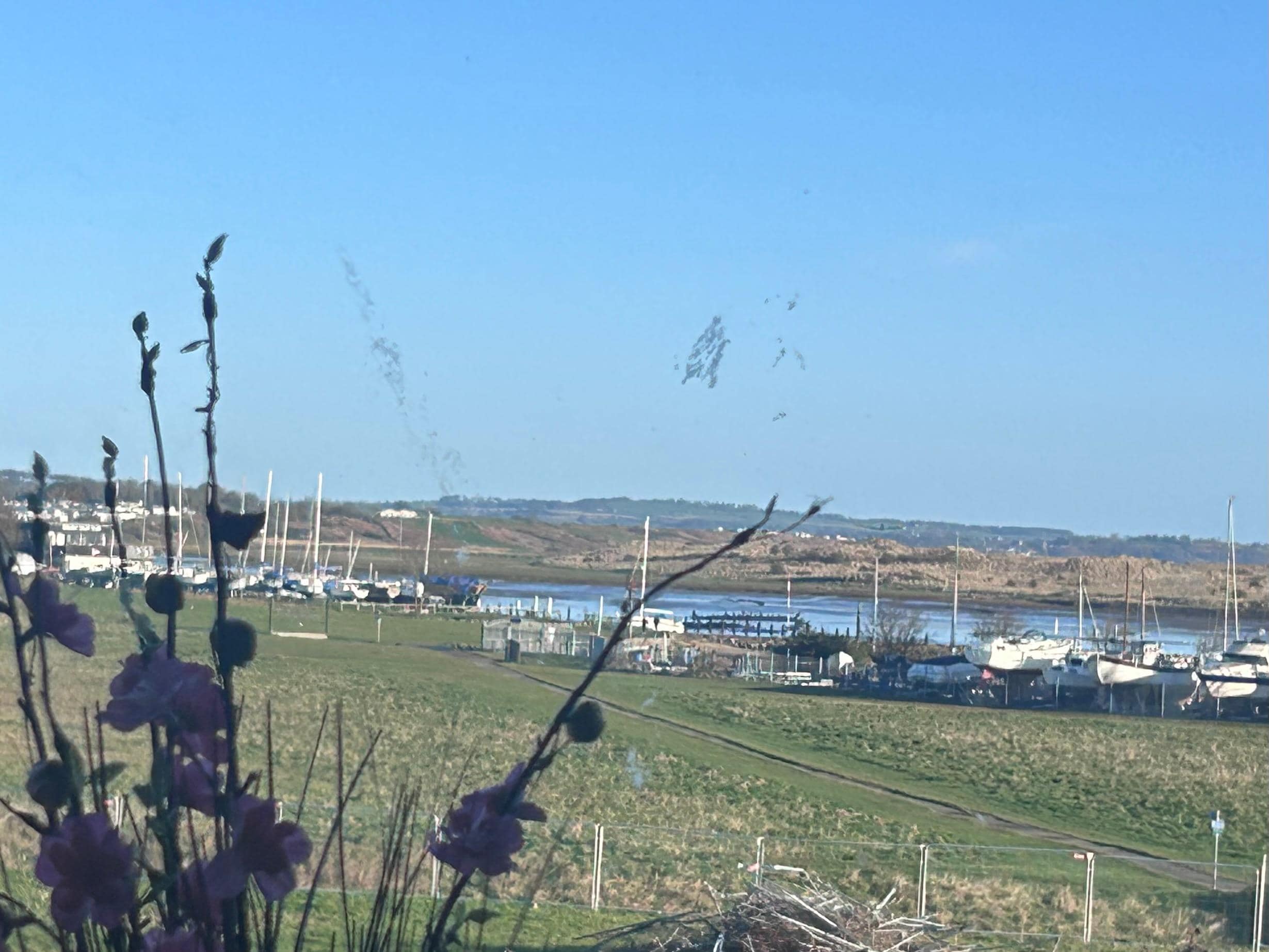 The view of the marina from the windows.