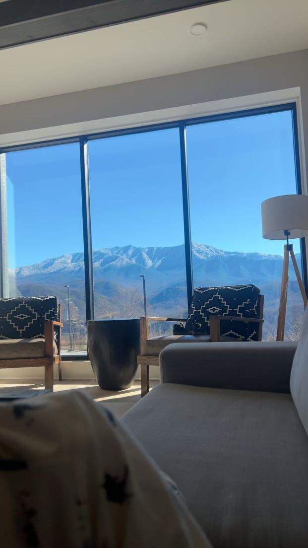 View from the living room. 