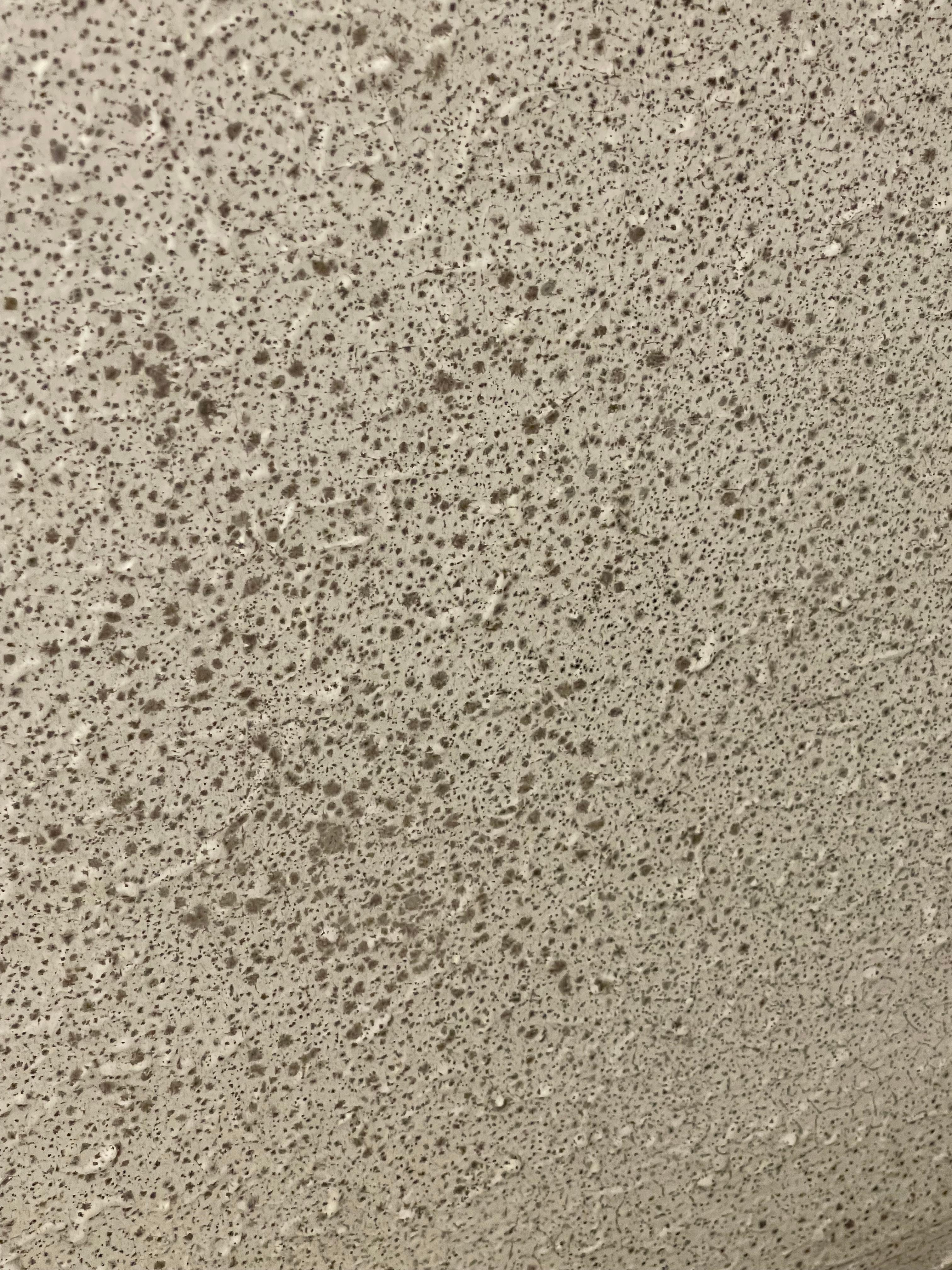 black mold starting to cover entire ceiling
