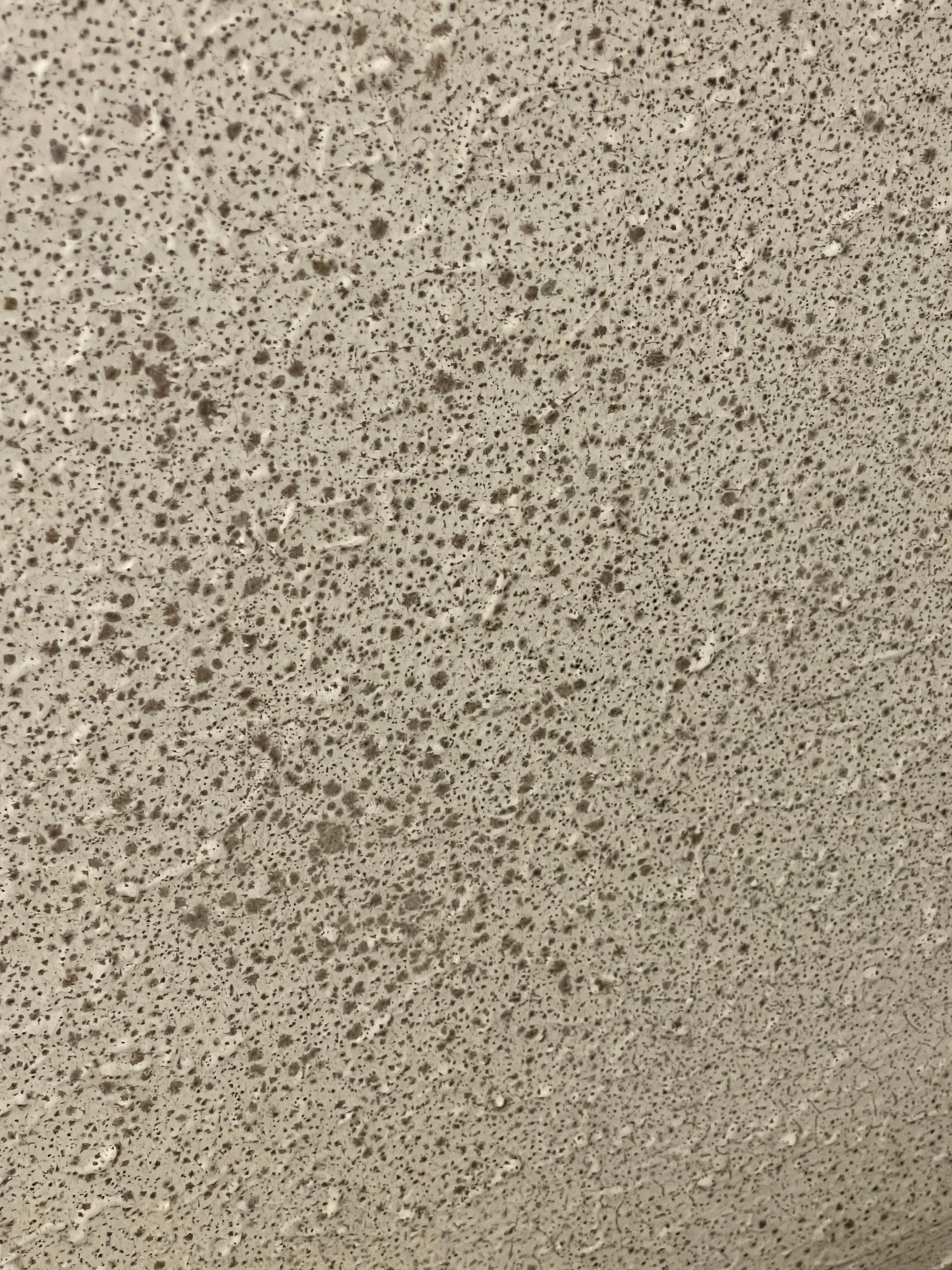 black mold starting to cover entire ceiling